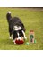 5rolls Pet Çöp Torbası Parçalanabilir Atık Çöp Torbası Toplama Köpek Kakası Toplama Torbası Köpek Kakası Torbası (Yurt Dışından) 2