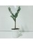 Beyaz 13'lük Saksıda Minyatür Bonsai Zeytin Fidanı 1