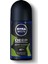 Men Deep Dimension Amazonia Roll-On Deodorant 50 ml 1