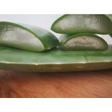 Akdeniz Aloe Vera 5 Adet -Aloe Vera Fidanı 20- 30 cm - Sarı Sabır- Şifalı Bitki Fidanı Açık Kök