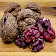 Yayla Tarım 5 Adet Ceviz Fidanı ( Pikan Kırmızı Iç ) 1 Adet Tozlayıcı Açık Kök Aşılı 2 Yaşında 80 cm