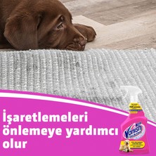 Kosla Pet Leke Çıkarıcı ve Koku Giderici Sprey 2x500 ml