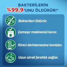 Lysol Antibakteriyel Çamaşır Makinesi Temizleyici Çam ve Okaliptus Ferahlığı 4 x 250 ml