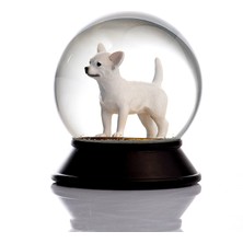 Snoowg Cam ve Reçine Altın Patiler Chihuahua (Beyaz) Kar Küresi (Kişiselleştirilebilir Isim SEÇENEĞI)8683574111062
