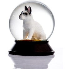 Snoowg Cam ve Reçine Altın Patiler French Bulldog (Beyaz) Kar Küresi