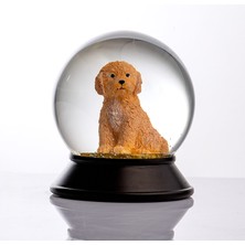 Snoowg Cam ve Reçine Altın Patiler Toy Poodle (Kayısı) Kar Küresi