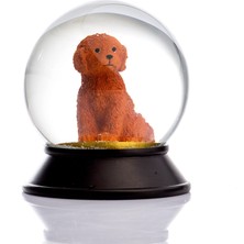 Snoowg Cam ve Reçine Altın Patiler Toy Poodle (Tarçın) Kar Küresi