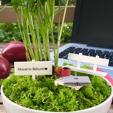 Paspasın Bahçeleri Kişiye Özel Tasarım Beyaz Chamaedorea Elegans Serisi  Yeni Ofis ve Terfi Için