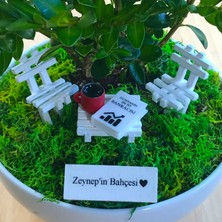 Paspasın Bahçeleri Kişiye Özel Cute Serisi Buxus Bonsai  Bankacılar Için