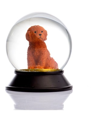 Snoowg Cam ve Reçine Altın Patiler Toy Poodle (Tarçın) Kar Küresi