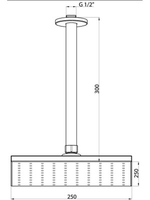 Gpd Ankastre Duş Başlığı (Tavandan) (250X250) ADS15