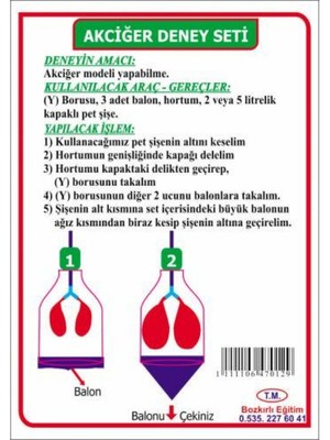 Solunum Deney Seti Akciğer Deney Seti Akciğer Modeli Yapım Seti
