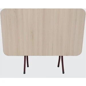 Sivas Gözde Mobilya Ecowood Katlanır Dikdörtgen Masa 70X100X75CM