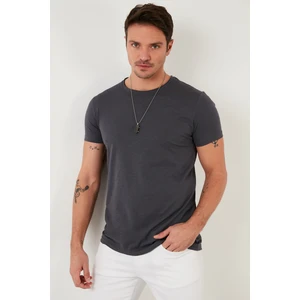 Pamuklu Slim Fit Bisiklet Yaka T Shirt Erkek T Shirt 59020001