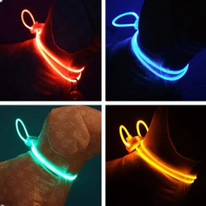 Renkli LED Evcil Köpek ve Kedi Tasması Zinciri Gece Lambası 2 Adet    (Yurt Dışından)