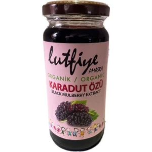 Organik Karadut Özü 300 gr