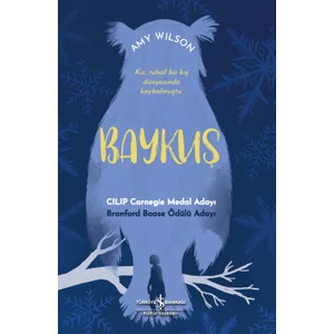 Baykuş - Amy Wilson