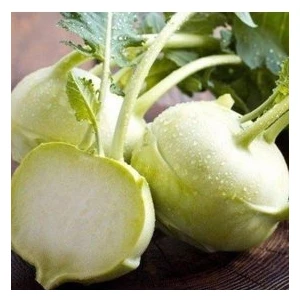 Köy Tohumları 100 Adet Tohum Alabaş Tohumu Tohumu