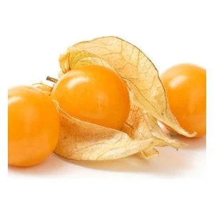 Köy Tohumları 20 Adet Tohum Tropikal Altın Çilek Tohumu Kaz Üzümü Ground Cherry Saksı Toprak