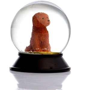 Cam ve Reçine Altın Patiler Toy Poodle (Tarçın) Kar Küresi