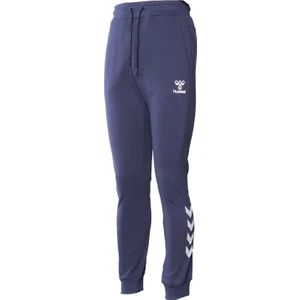 Hmlt-isam 2.0 Regular Erkek Lacivert Eşofman Altı 931468-7666