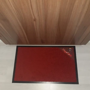 Nem Alıcı Kalın Iç Dış Kapı Önü Paspas Dog Sticker 50x75 Kauçuk Kenar