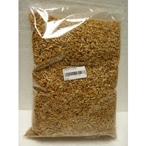 Kurutulmuş Karides Akvaryum Canlıları İçin Dengeli Besin 50 Gram Zengin Protein