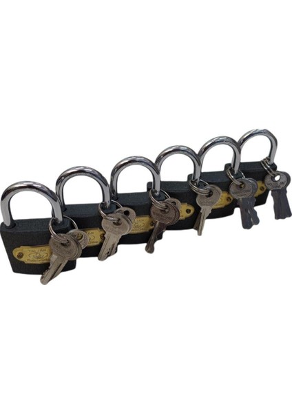 Yalıan Asma Kilit 38 mm Gri Küpe Kilit 6 Adet modelleri