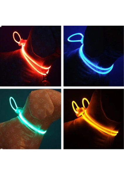 Renkli LED Evcil Köpek ve Kedi Tasması Zinciri Gece Lambası 2 Adet (Yurt Dışından)