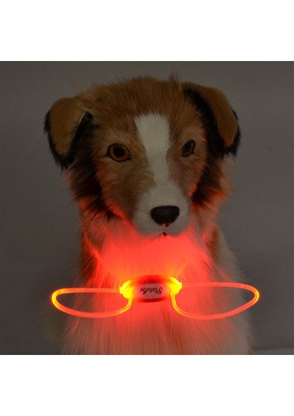 Renkli LED Evcil Köpek ve Kedi Tasması Zinciri Gece Lambası 2 Adet (Yurt Dışından)