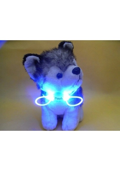 Renkli LED Evcil Köpek ve Kedi Tasması Zinciri Gece Lambası 2 Adet (Yurt Dışından)