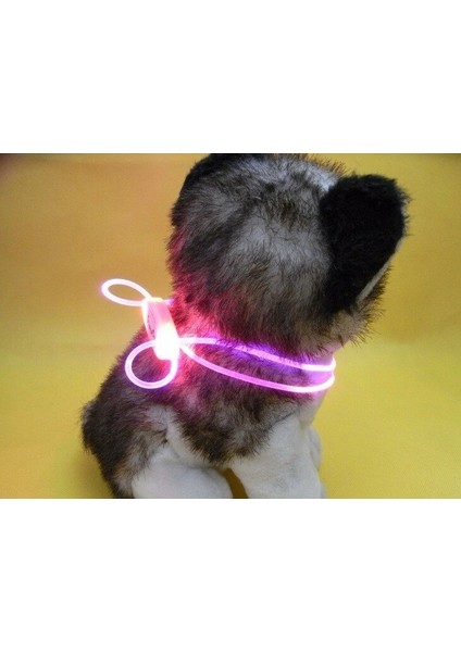 Renkli LED Evcil Köpek ve Kedi Tasması Zinciri Gece Lambası 2 Adet (Yurt Dışından)