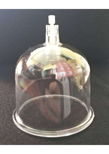 50 Adet 5 No Kupa Seti