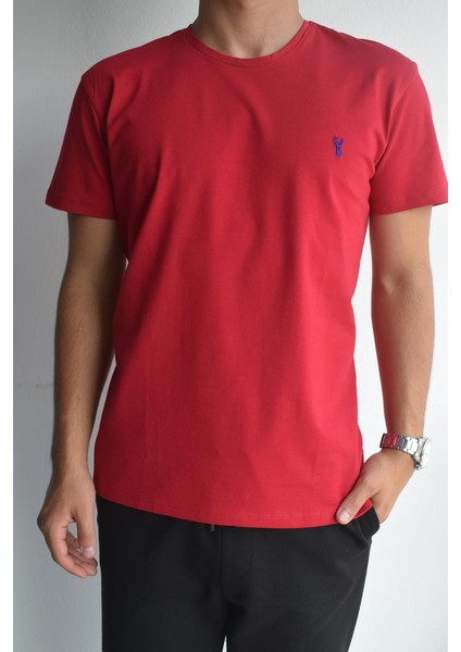 Kırmızı Basic Erkek Bisiklet Yaka Kısa Kollu T-Shirt, OT-BT-21001 fiyatları