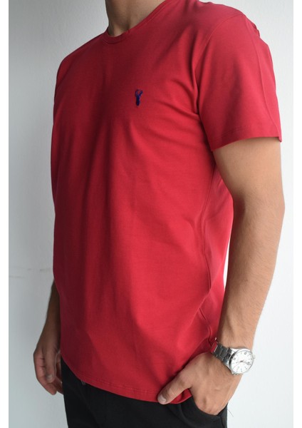 Kırmızı Basic Erkek Bisiklet Yaka Kısa Kollu T-Shirt, OT-BT-21001 modelleri