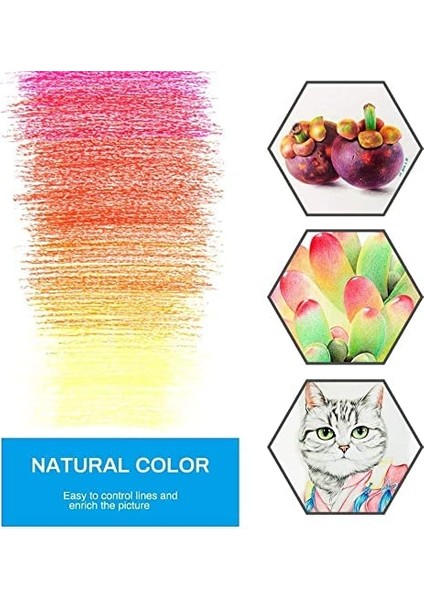 Kanvas Rulo Çanta ile 36 Adet Renkli Kalemler (Yurt Dışından) indirimleri