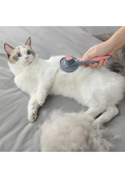Kedi Tarağı Bakım Fırçası Köpek Tüy Alma Fırçası(Yurt Dışından) fiyatları