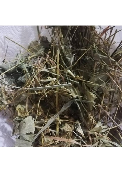 Aslan Pençesi Testere Dişli 500 gr