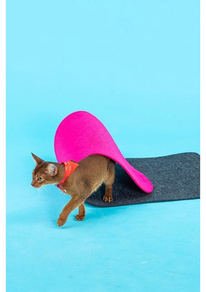 Ovis Kedi Tüneli Evcil Hayvan Oyuncağı Yavru Yetişkin Kedi Oyun Evi Tünel fiyatları