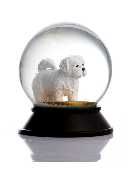 Cam ve Reçine Altın Patiler Maltese Terrier Kar Küresi