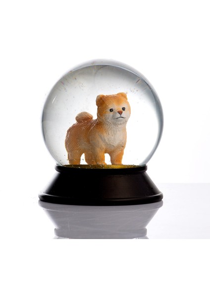 Cam ve Reçine Altın Patiler Pomeranian Boo (Kayısı) Kar Küresi