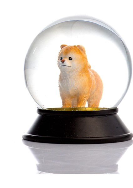 Cam ve Reçine Altın Patiler Pomeranian Boo (Kayısı) Kar Küresi
