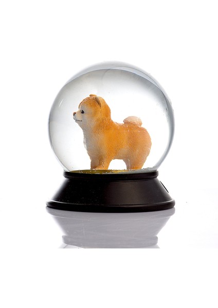 Cam ve Reçine Altın Patiler Pomeranian Boo (Kayısı) Kar Küresi