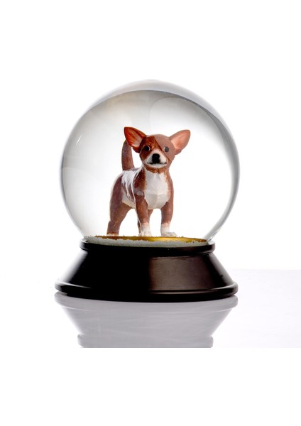 Cam ve Reçine Altın Patiler Chihuahua (Kahverengi) Kar Küresi
