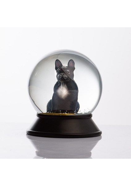 Cam ve Reçine Altın Patiler French Bulldog (Siyah) Kar Küresi