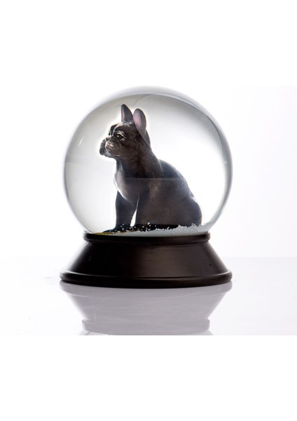 Cam ve Reçine Altın Patiler French Bulldog (Siyah) Kar Küresi fiyatları
