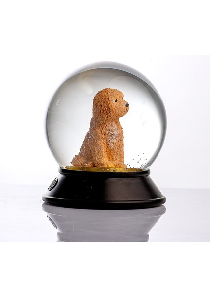 Cam ve Reçine Altın Patiler Toy Poodle (Kayısı) Kar Küresi
