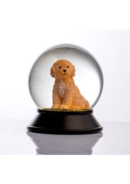Cam ve Reçine Altın Patiler Toy Poodle (Kayısı) Kar Küresi