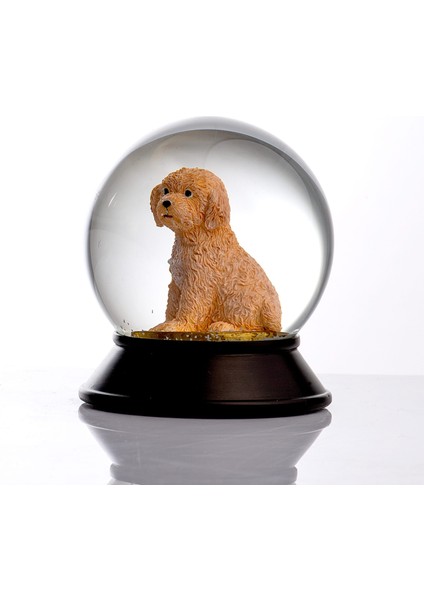 Cam ve Reçine Altın Patiler Toy Poodle (Kayısı) Kar Küresi