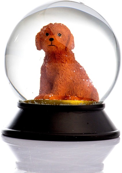 Cam ve Reçine Altın Patiler Toy Poodle (Tarçın) Kar Küresi
